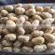 Factory of Fresh Potatoes