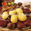 IQF Frozen Peeled Chestnut Castanea Sativa