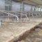 Dairy Farming Equipment Cow/Horse Free Project-Cow Stall Panels for Sale