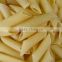 Hot Sale New Style Automatic macaroni pasta production line