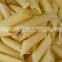 Hot Sale New Style Automatic macaroni pasta production line