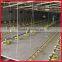 poultry feeding system