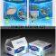 Natural white aquarium hard coral sand and gravel prices