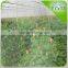 Flower garden Greenhouse Irrigation Series