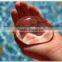 FDA Silicone grease waterproof silicone grease