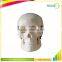 Little Size Plastic Human Body Anatomy Skeleton Model