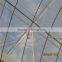 Commerical Multi-Span Greenhouse for agriculture with UV