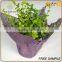 high quality paper mesh plant pots wholesale