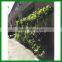 FO-GW018 Outdoor Green Plant Wall for Decor