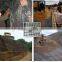 geogrid