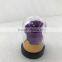Clear Acrylic display dome with base for display decorations