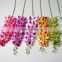 Single blooming Orchid artificial orchid flower decorative orchid flowers Manufacturer