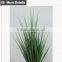 Home decoration species potted grass wide blade grass artificial onion grass for appeciation