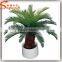 Indoor Evergreen Ornamental Plants Cycas Revoluta Artificial Fake Plastic Evergreen Trees for Home Decor
