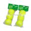 Standard ITF Approved Professional Wool Tennis Ball