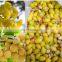 100kg/h pistachio nutshellerGingkoPeelingMachineGinkgo shellingmachine