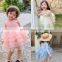 Children's Dress 2020 Spring Princess Girls' Dress Ball Gown Childrenswear Wholesale