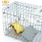 humane mouse cat trap live catch better than rat glue trap