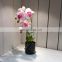 Amazon hot sale Beautiful decorative realistic artificial plastic fake orchid plants for restaurants