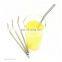 Stainless steel Drinking Straw and Cleaning Brush