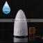 100ml Diffuser Aromatherapy Essential Oil Air Humidifier with Mist Adjustable for Home Deco AN-0440