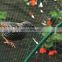 Good price garden hdpe anti bird protection net mesh