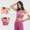 Hot Sale Shockproof Cross Back Sexy Yoga Bra Top Women Gym Fitness Sports Wear Outfit Outdoor Training Running Bra
