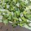 Organic freeze dried leek