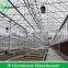 Hot Sale Multi-span Greenhouses for Agriculture Used                        
                                                Quality Choice