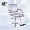 silver styling chair with sharp looking DY-2175F3                        
                                                Quality Choice