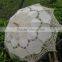 Promotion quality new design wedding parasol umbrella and fan