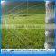 soccer field fence cheap field fence wire 8ft 2016 new products galvanized cattle fence panels/football /farm field fence