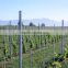 Factory supply design vineyard vertical line posts