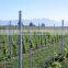 Factory supply design vineyard vertical line posts