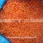 IQF frozen carrot dices