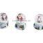personalized Polyresin Halloween witch snow globe