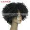 overnight delivery cheap wholesale price 100 high temperature fiber synthetic lace front wig for black women kinky curly                        
                                                Quality Choice