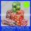 Packing Vegetable And Fruit Mesh Bag/Raschel Bag/Net Bag