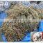 NEW Welded G80 Iron Link Chain Or Anchor Chain STEEL CHAIN