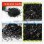 Activated Carbon for Biogas Desulfurization