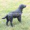 1:6 scale 3d model Dog sculptures customize small Poodle dog figures
