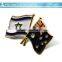 Paint Flag Metal Badge Pin