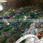 PET Bottle scrap