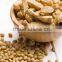 Textured Vegetarian Soya Beans Protein Process Line