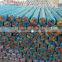 Rich colors factory of cheap PVC carpet vinyl flooring with Non-woven Fabric Back