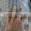 Thailand 3/4"X3/4" chicken net(professional factory,cheapest price with good quality)