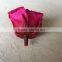 Natural preserved rose flower with 3-4cm preserved roses