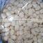 Salted peeled garlic