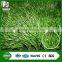 high quality of football grass