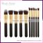 2016 hot selling OEM 10pcs Private lable cosmetic makeup brush set